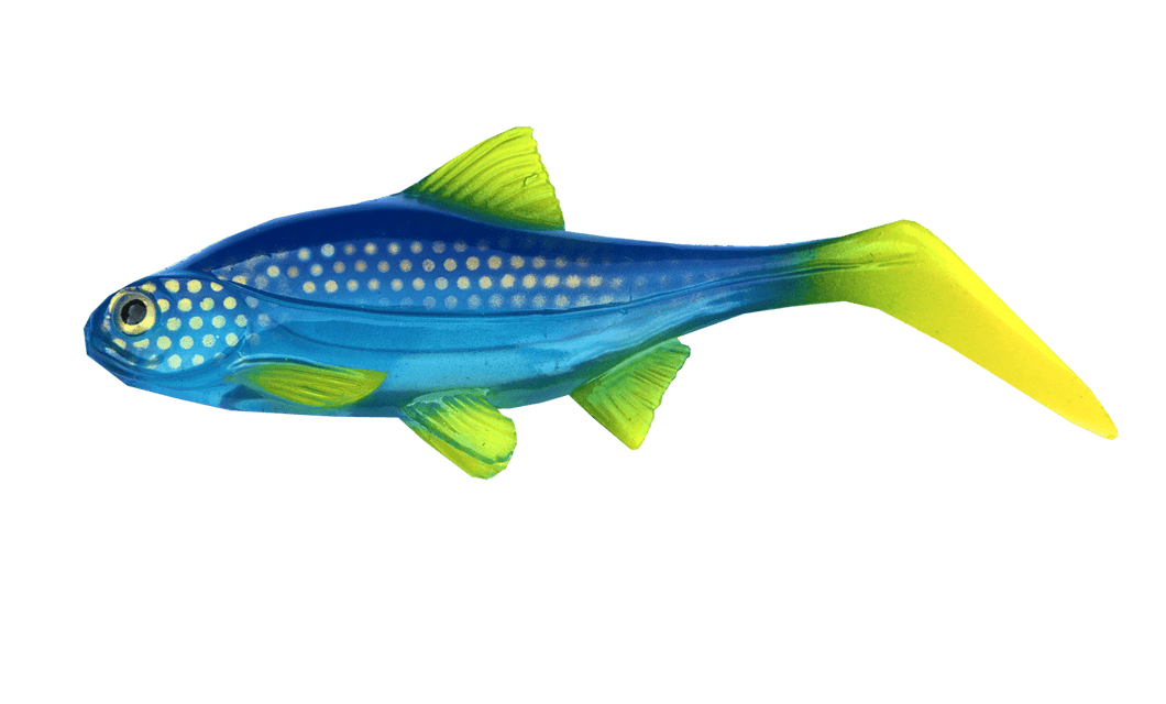 Kanalgratis Hooligan Roach Jnr 15cm NEW 2021 - Fishing Lures Ltd