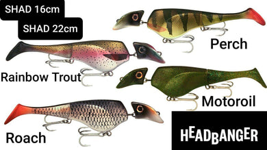 Headbanger Lures Shad 22cm (newer colours) - Fishing Lures Ltd