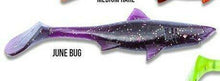 Load image into Gallery viewer, Kanalgratis Baby Shark Shad 10cm 8 pack - Fishing Lures Ltd