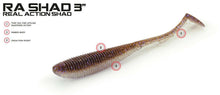 Load image into Gallery viewer, Molix RA Shad 3" - Fishing Lures Ltd