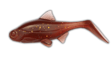 Load image into Gallery viewer, Kanalgratis Hooligan Roach Baby 9.5cm - Fishing Lures Ltd