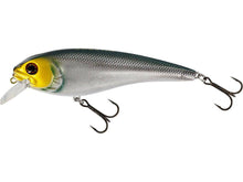 Load image into Gallery viewer, Westin RawBite 15cm - Fishing Lures Ltd
