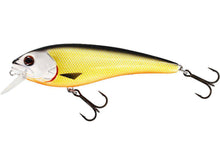 Load image into Gallery viewer, Westin RawBite 15cm - Fishing Lures Ltd
