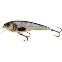 Load image into Gallery viewer, Westin Rawbite 15cm - Discontinued - Fishing Lures Ltd
