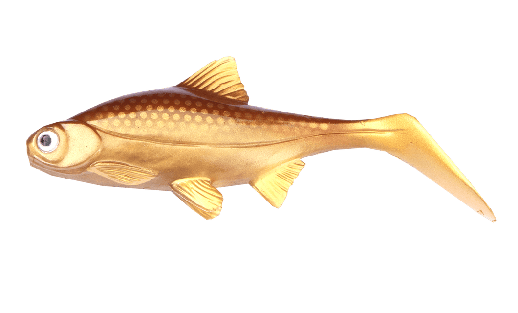 Kanalgratis Hooligan Roach Jnr 15cm NEW 2021 - Fishing Lures Ltd