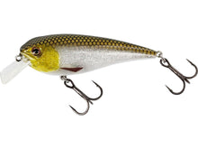 Load image into Gallery viewer, Westin RawBite 7cm 12g 3D Headlight - Fishing Lures Ltd
