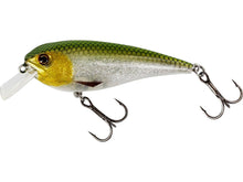 Load image into Gallery viewer, Westin RawBite 7cm 12g 3D Headlight - Fishing Lures Ltd
