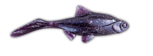 Load image into Gallery viewer, Kanalgratis Hooligan Roach Baby 9.5cm - Fishing Lures Ltd
