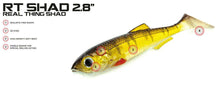 Load image into Gallery viewer, Molix RT Real Thing 2.8&quot; (RT) - Fishing Lures Ltd
