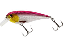 Load image into Gallery viewer, Westin RawBite 7cm 12g 3D Headlight - Fishing Lures Ltd
