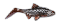 Load image into Gallery viewer, Kanalgratis Hooligan Roach Jnr 15cm NEW 2021 - Fishing Lures Ltd
